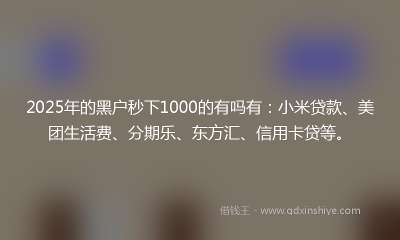 2025年的黑户秒下1000的有吗有：小米贷款、美团生活费、分期乐、东方汇、信用卡贷等。