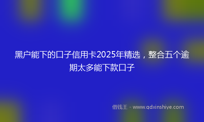 黑户能下的口子信用卡2025年精选，整合五个逾期太多能下款口子