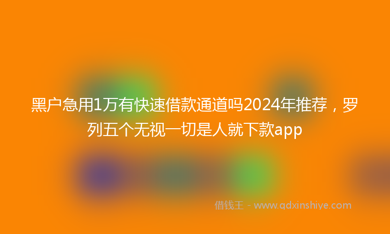 黑户急用1万有快速借款通道吗2024年推荐，罗列五个无视一切是人就下款app