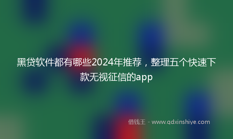 黑贷软件都有哪些2024年推荐，整理五个快速下款无视征信的app