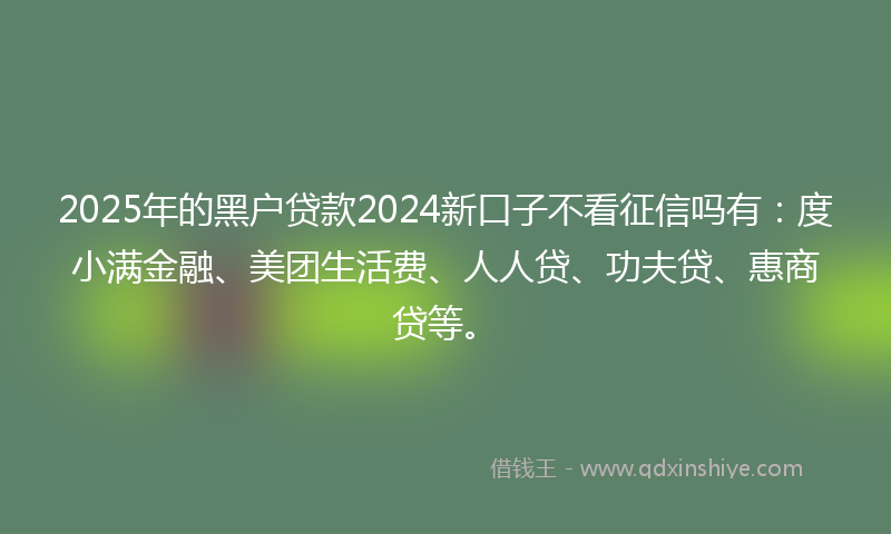 2025年的黑户贷款2024新口子不看征信吗有：度小满金融、美团生活费、人人贷、功夫贷、惠商贷等。