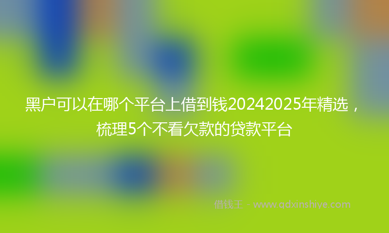 黑户可以在哪个平台上借到钱20242025年精选，梳理5个不看欠款的贷款平台
