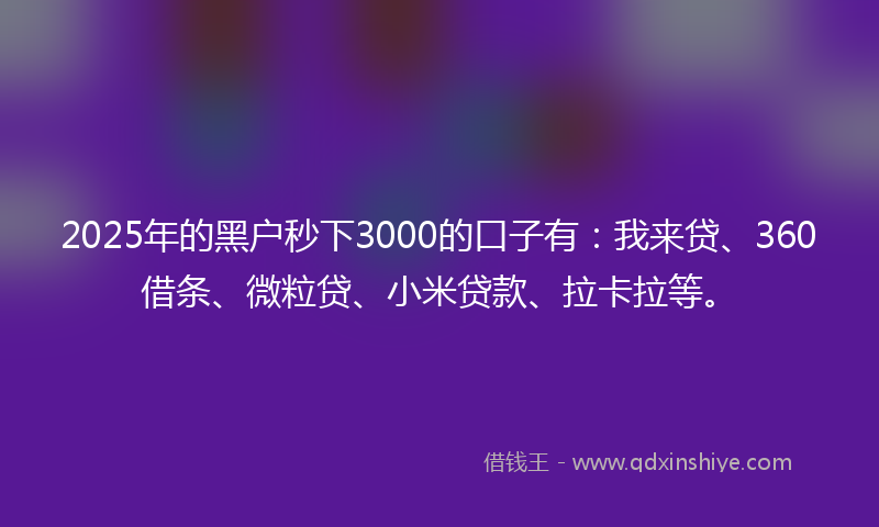 2025年的黑户秒下3000的口子有：我来贷、360借条、微粒贷、小米贷款、拉卡拉等。