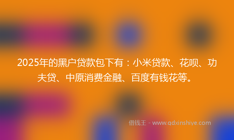 2025年的黑户贷款包下有：小米贷款、花呗、功夫贷、中原消费金融、百度有钱花等。