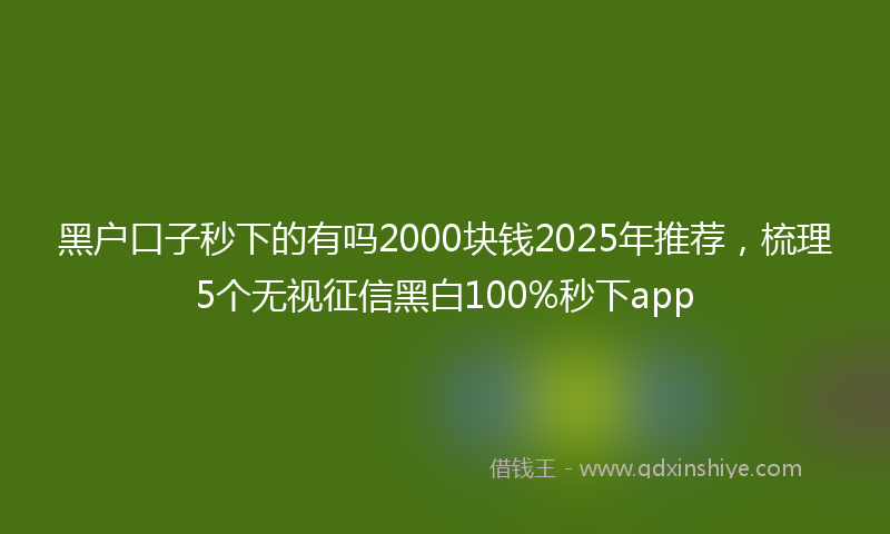 黑户口子秒下的有吗2000块钱2025年推荐，梳理5个无视征信黑白100%秒下app