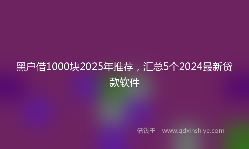 黑户借1000块2025年推荐，汇总5个2024最新贷款软件