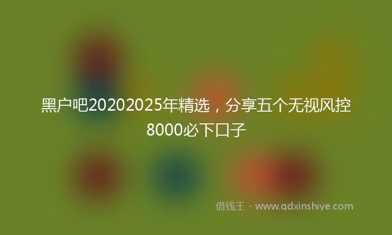 黑户吧20202025年精选，分享五个无视风控8000必下口子