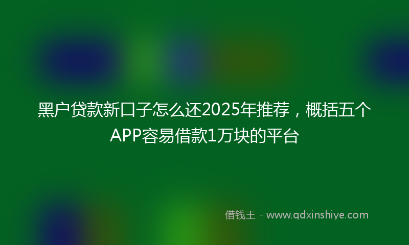 黑户贷款新口子怎么还2025年推荐，概括五个APP容易借款1万块的平台