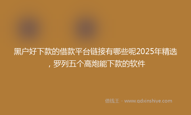 黑户好下款的借款平台链接有哪些呢2025年精选，罗列五个高炮能下款的软件