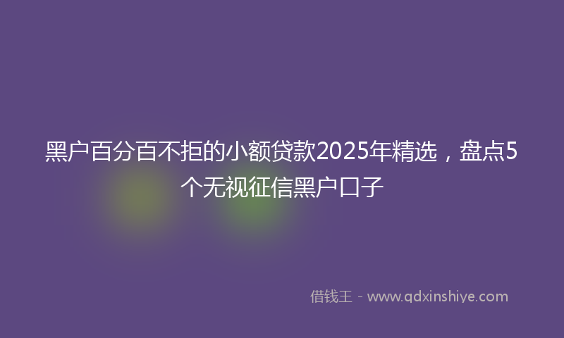 黑户百分百不拒的小额贷款2025年精选，盘点5个无视征信黑户口子