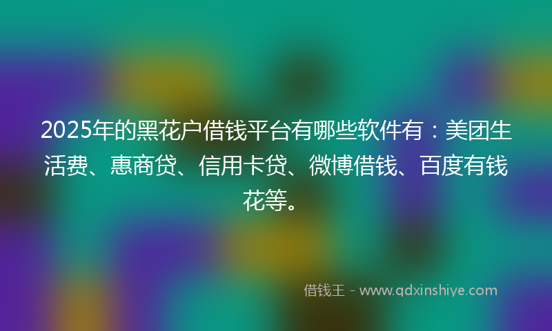 2025年的黑花户借钱平台有哪些软件有：美团生活费、惠商贷、信用卡贷、微博借钱、百度有钱花等。