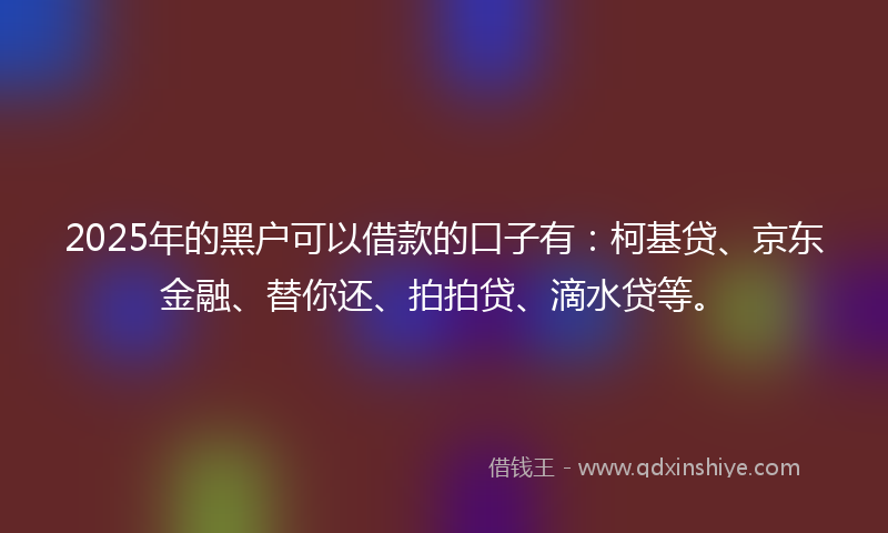 2025年的黑户可以借款的口子有：柯基贷、京东金融、替你还、拍拍贷、滴水贷等。