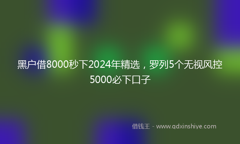黑户借8000秒下2024年精选，罗列5个无视风控5000必下口子