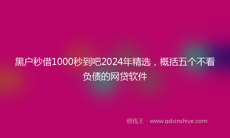 黑户秒借1000秒到吧2024年精选，概括五个不看负债的网贷软件