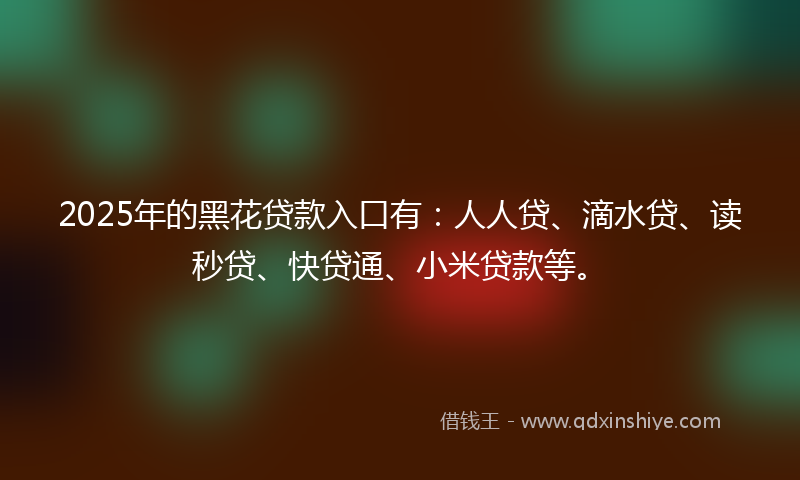 2025年的黑花贷款入口有：人人贷、滴水贷、读秒贷、快贷通、小米贷款等。