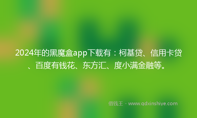 2024年的黑魔盒app下载有：柯基贷、信用卡贷、百度有钱花、东方汇、度小满金融等。