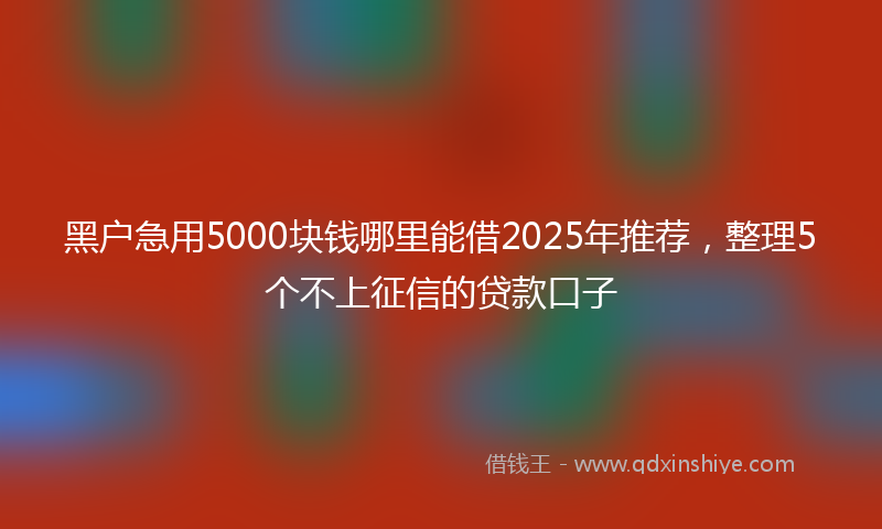 黑户急用5000块钱哪里能借2025年推荐，整理5个不上征信的贷款口子