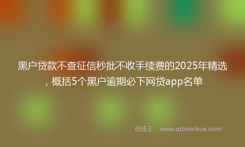 黑户贷款不查征信秒批不收手续费的2025年精选，概括5个黑户逾期必下网贷app名单