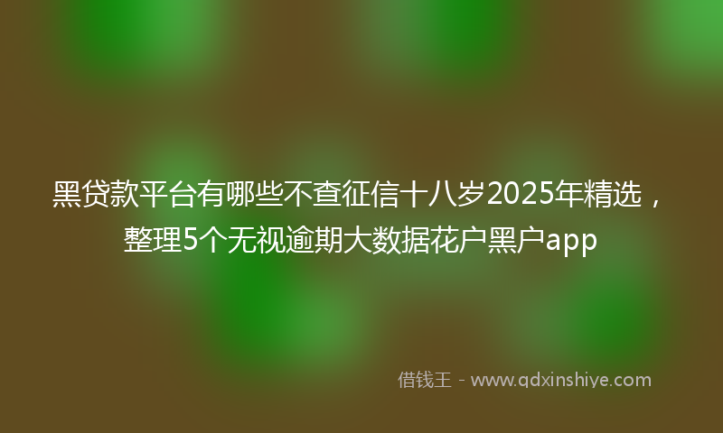 黑贷款平台有哪些不查征信十八岁2025年精选，整理5个无视逾期大数据花户黑户app