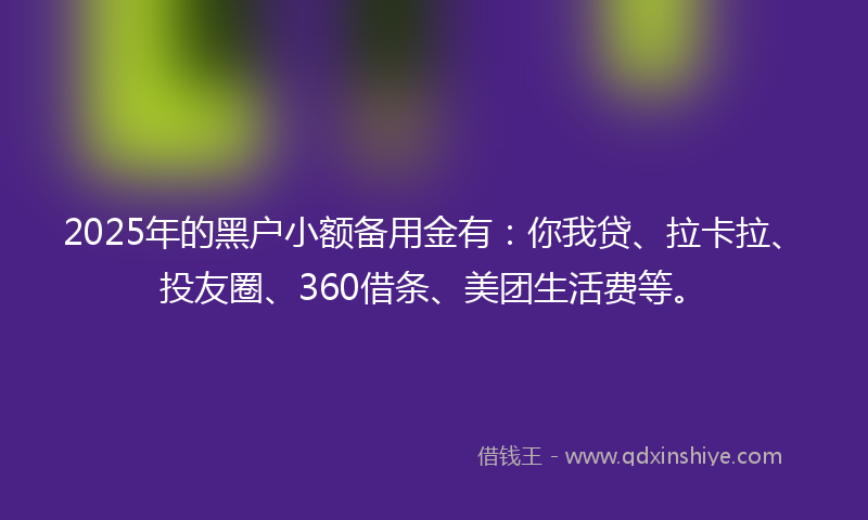 2025年的黑户小额备用金有：你我贷、拉卡拉、投友圈、360借条、美团生活费等。
