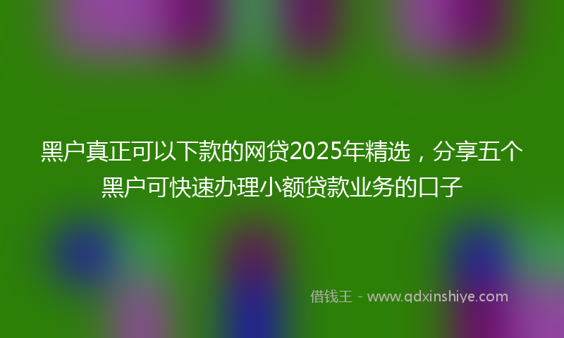 黑户真正可以下款的网贷2025年精选，分享五个黑户可快速办理小额贷款业务的口子
