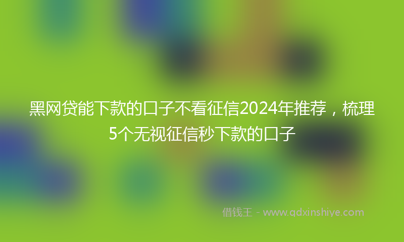黑网贷能下款的口子不看征信2024年推荐，梳理5个无视征信秒下款的口子