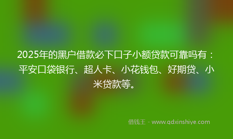 2025年的黑户借款必下口子小额贷款可靠吗有：平安口袋银行、超人卡、小花钱包、好期贷、小米贷款等。