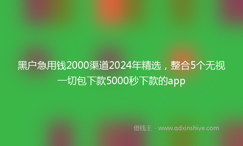 黑户急用钱2000渠道2024年精选,整合5个无视一切包下款5000秒下款的app