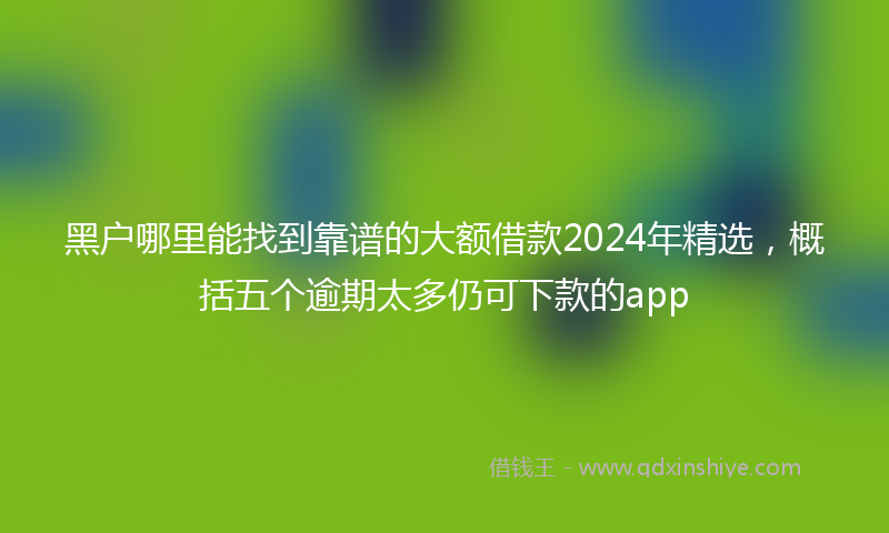 黑户哪里能找到靠谱的大额借款2024年精选，概括五个逾期太多仍可下款的app