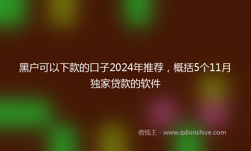 黑户可以下款的口子2024年推荐，概括5个11月独家贷款的软件