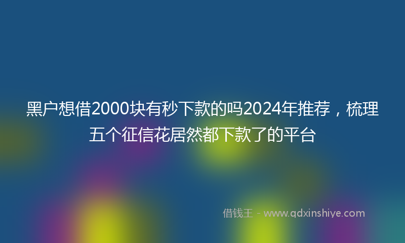 黑户想借2000块有秒下款的吗2024年推荐，梳理五个征信花居然都下款了的平台
