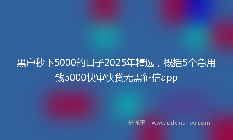 黑户秒下5000的口子2025年精选，概括5个急用钱5000快审快贷无需征信app