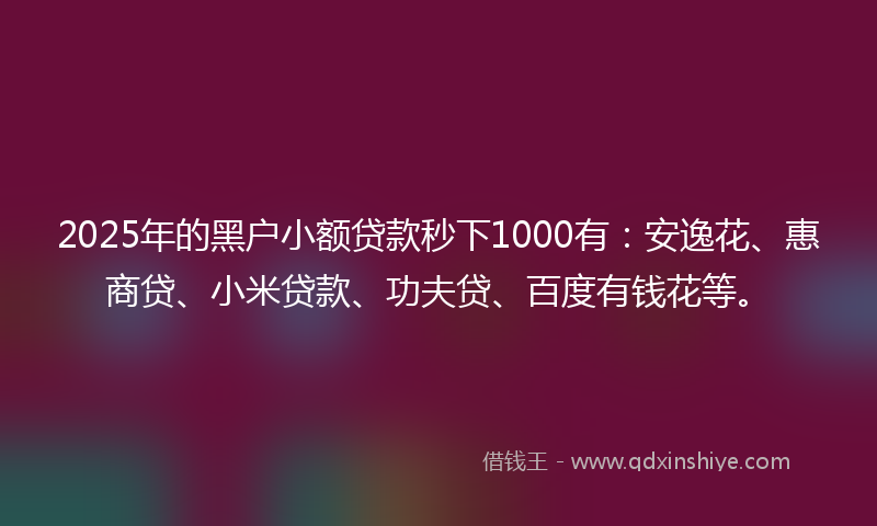 2025年的黑户小额贷款秒下1000有：安逸花、惠商贷、小米贷款、功夫贷、百度有钱花等。