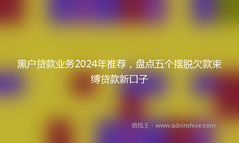 黑户贷款业务2024年推荐，盘点五个摆脱欠款束缚贷款新口子