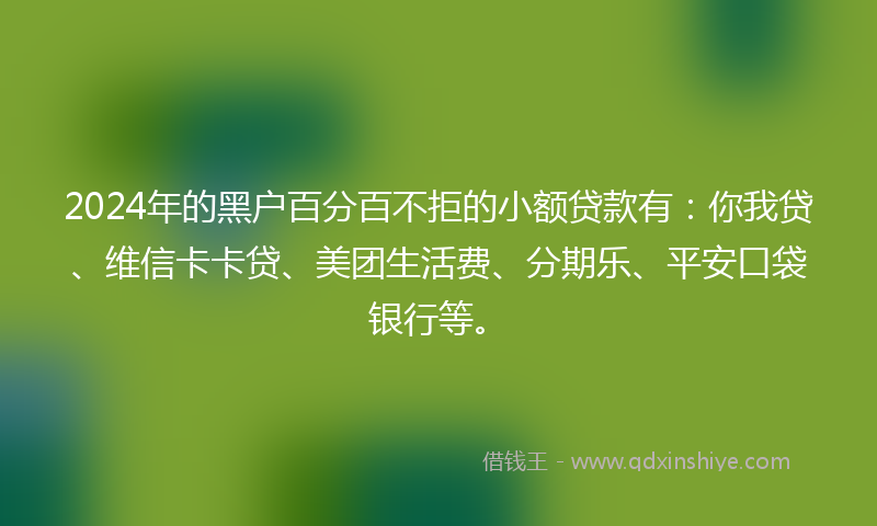 2024年的黑户百分百不拒的小额贷款有：你我贷、维信卡卡贷、美团生活费、分期乐、平安口袋银行等。