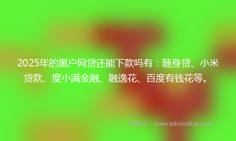 2025年的黑户网贷还能下款吗有：随身贷、小米贷款、度小满金融、融逸花、百度有钱花等。