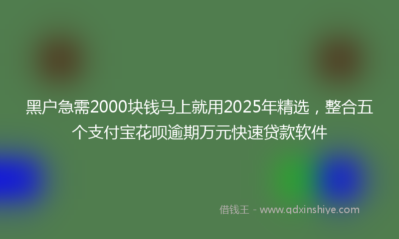 黑户急需2000块钱马上就用2025年精选，整合五个支付宝花呗逾期万元快速贷款软件