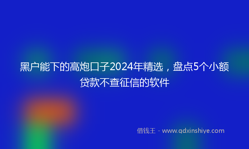 黑户能下的高炮口子2024年精选，盘点5个小额贷款不查征信的软件