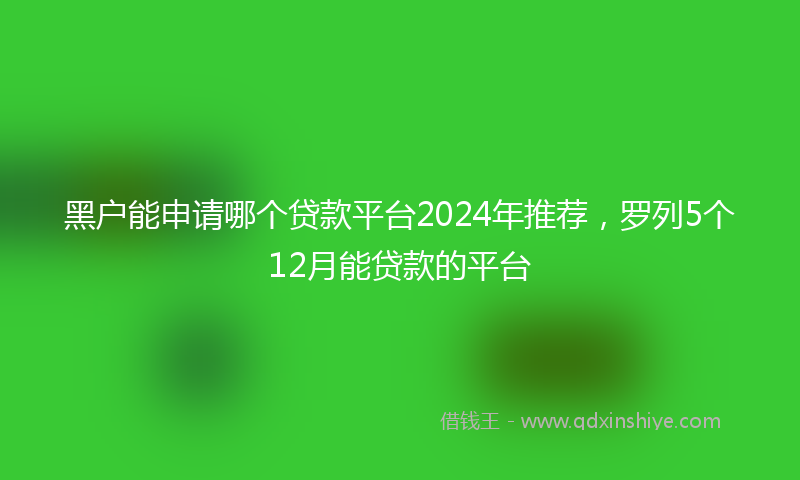黑户能申请哪个贷款平台2024年推荐，罗列5个12月能贷款的平台