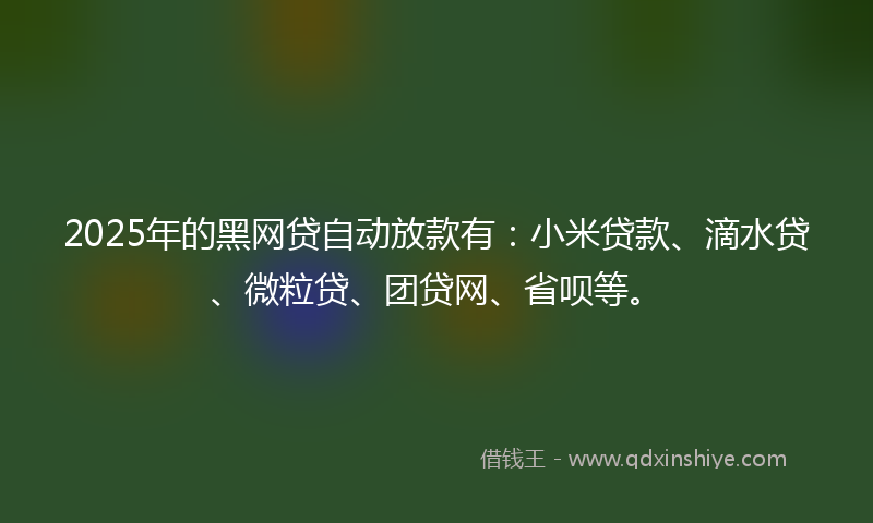 2025年的黑网贷自动放款有：小米贷款、滴水贷、微粒贷、团贷网、省呗等。