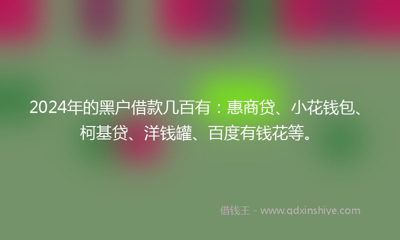 2024年的黑户借款几百有：惠商贷、小花钱包、柯基贷、洋钱罐、百度有钱花等。