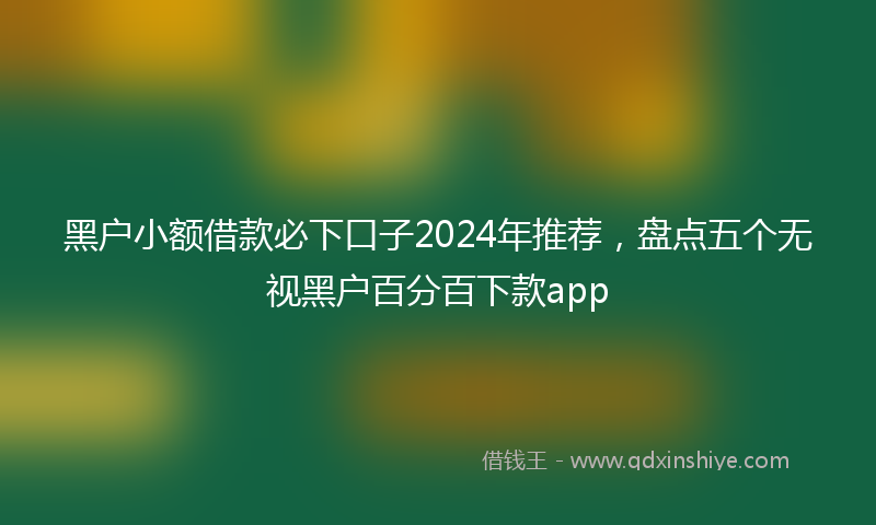 黑户小额借款必下口子2024年推荐，盘点五个无视黑户百分百下款app