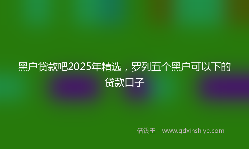 黑户贷款吧2025年精选，罗列五个黑户可以下的贷款口子