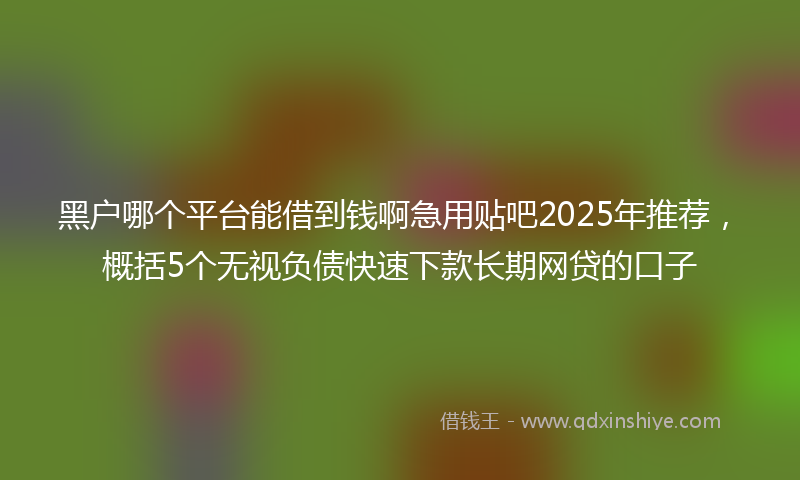 黑户哪个平台能借到钱啊急用贴吧2025年推荐，概括5个无视负债快速下款长期网贷的口子