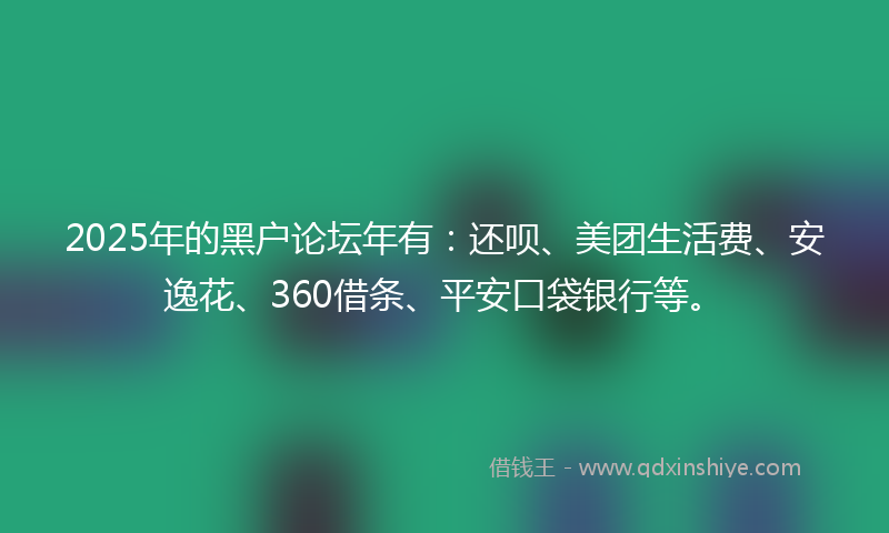 2025年的黑户论坛年有：还呗、美团生活费、安逸花、360借条、平安口袋银行等。