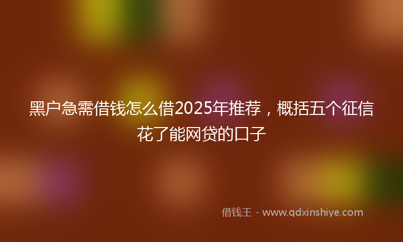 黑户急需借钱怎么借2025年推荐，概括五个征信花了能网贷的口子