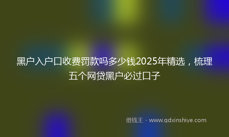 黑户入户口收费罚款吗多少钱2025年精选，梳理五个网贷黑户必过口子
