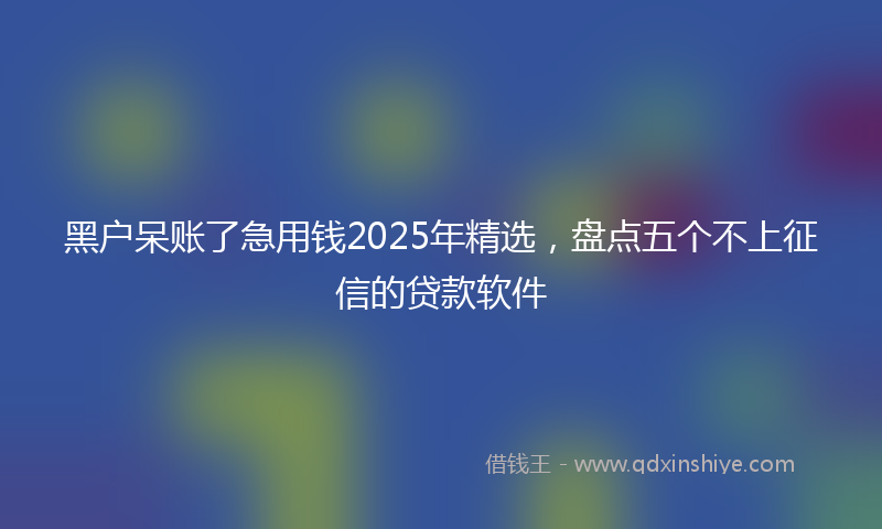 黑户呆账了急用钱2025年精选，盘点五个不上征信的贷款软件