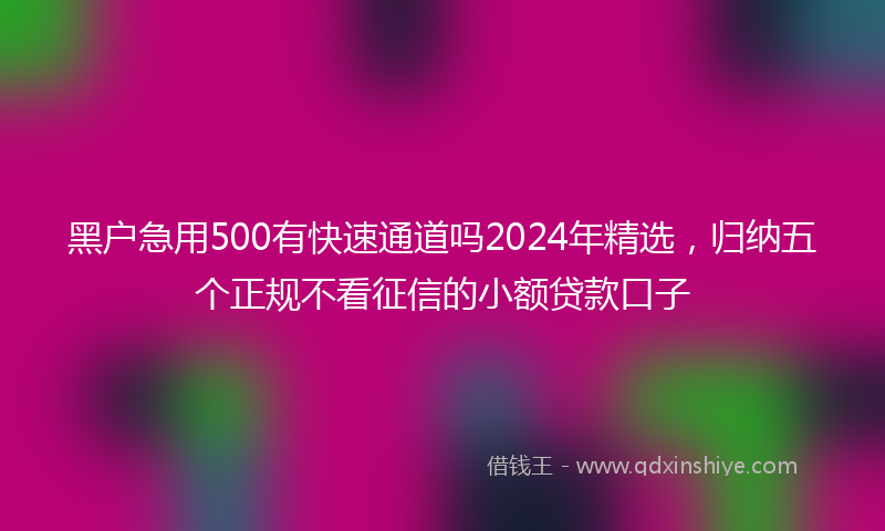 黑户急用500有快速通道吗2024年精选，归纳五个正规不看征信的小额贷款口子
