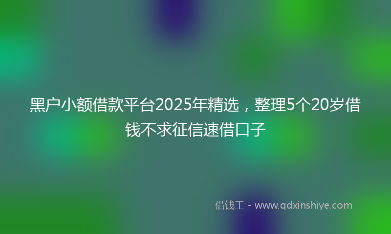 黑户小额借款平台2025年精选，整理5个20岁借钱不求征信速借口子